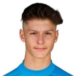 S. Hamzić