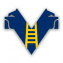 Verona logo